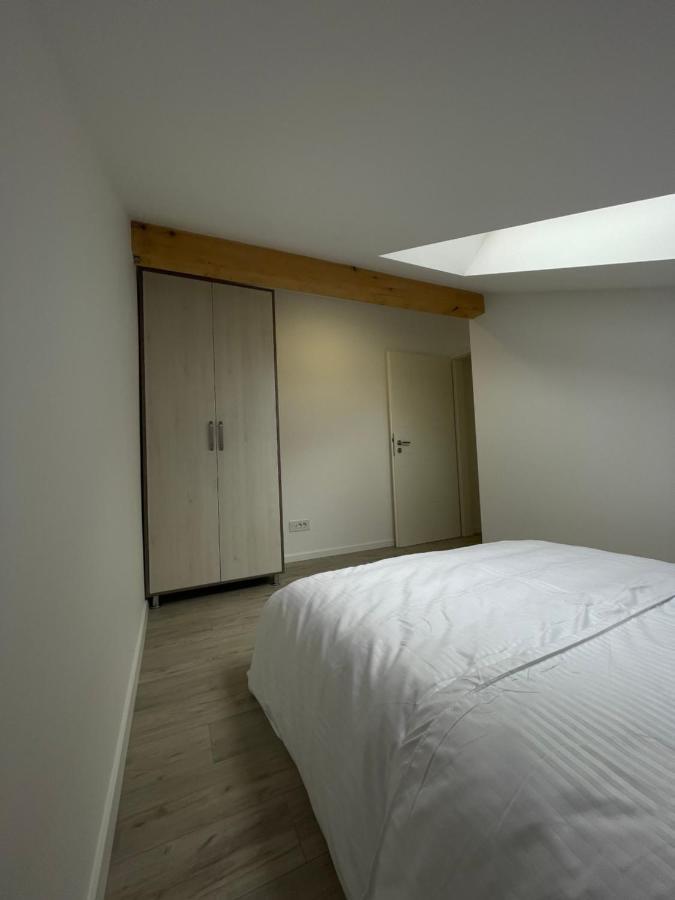 Comfort & Luxury Pnmresidence * Timişoara